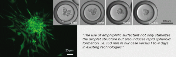 2-rapid-formation-of-multicellular-spheroids | Dolomite Microfluidics