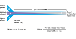 Liposomes_Diagram